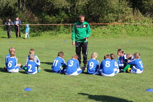 爱游戏官网首页 -莎拉波娃关键节点战术调整，瑞士队带队取胜！